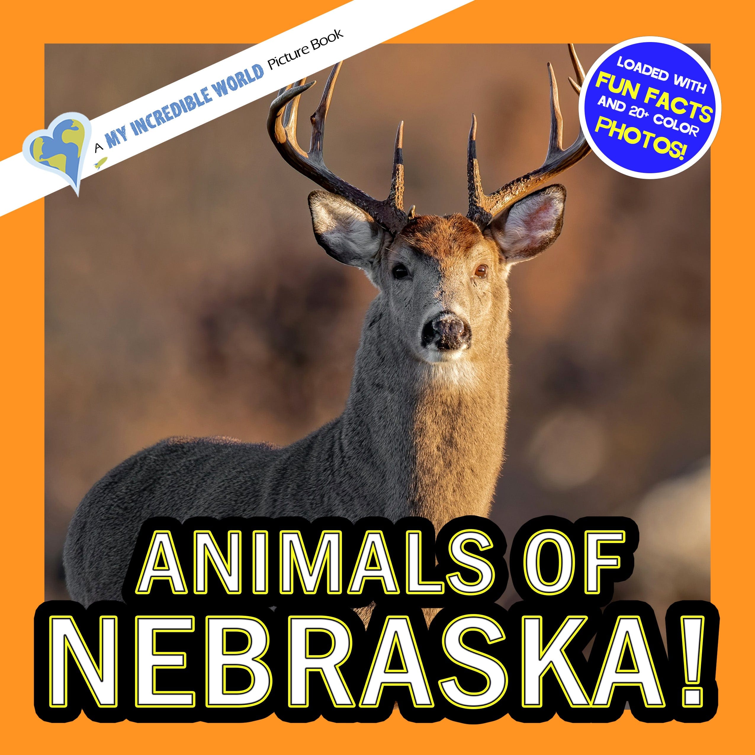 Animals of Nebraska! A My Incredible World Picture Book for Children